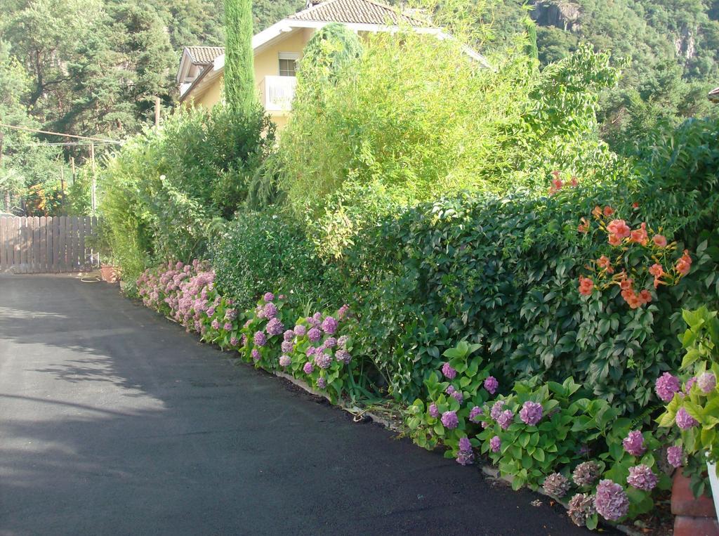 מלון Ora / Auer Gasthaus Pension Flora מראה חיצוני תמונה